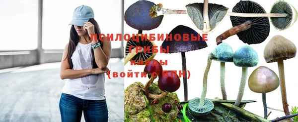 герыч Алзамай