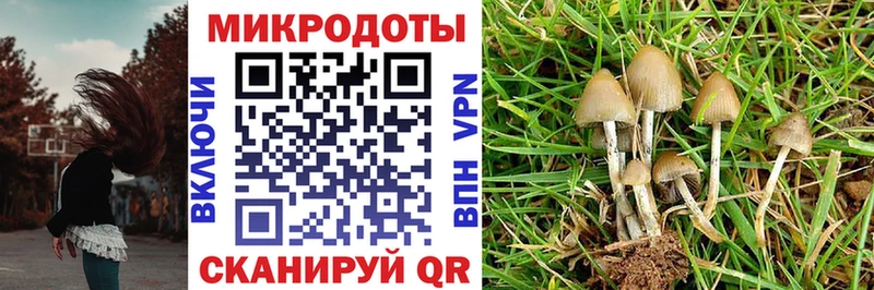 Псилоцибиновые грибы Magic Shrooms  где продают   Мыски 