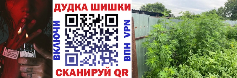 Бошки Шишки Ganja  Мыски 
